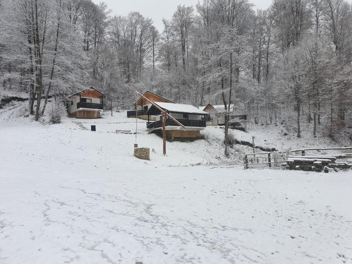 Satu Muscelean Otel Albestii de Muscel Dış mekan fotoğraf