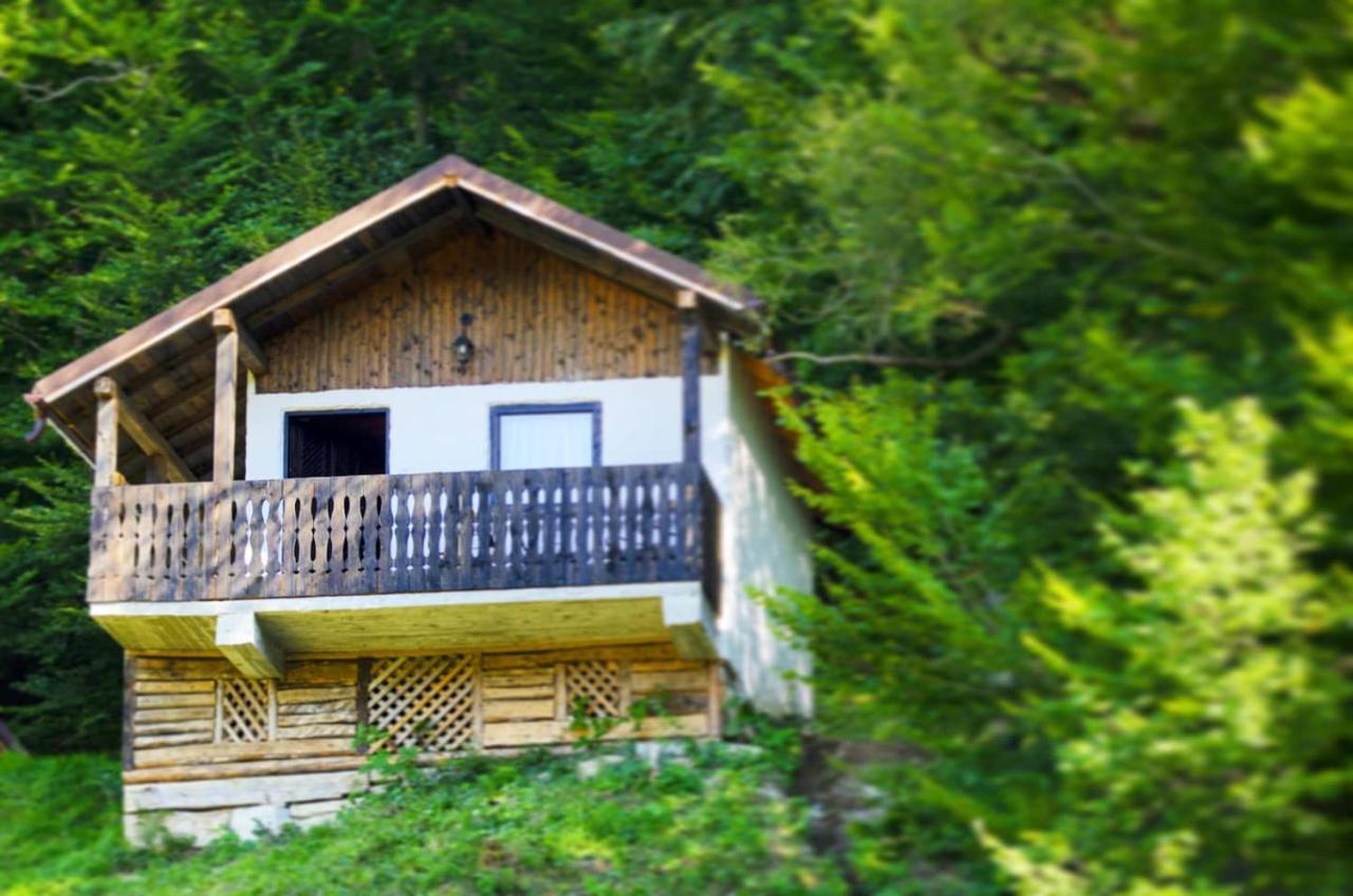 Satu Muscelean Otel Albestii de Muscel Dış mekan fotoğraf